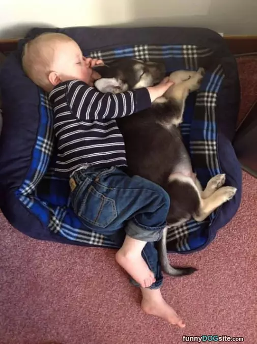 Cuddling Together