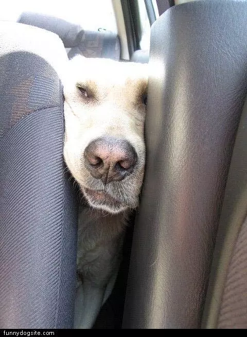 Between Seats