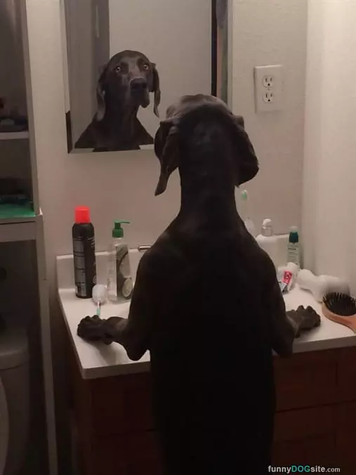 You Get Back Out There