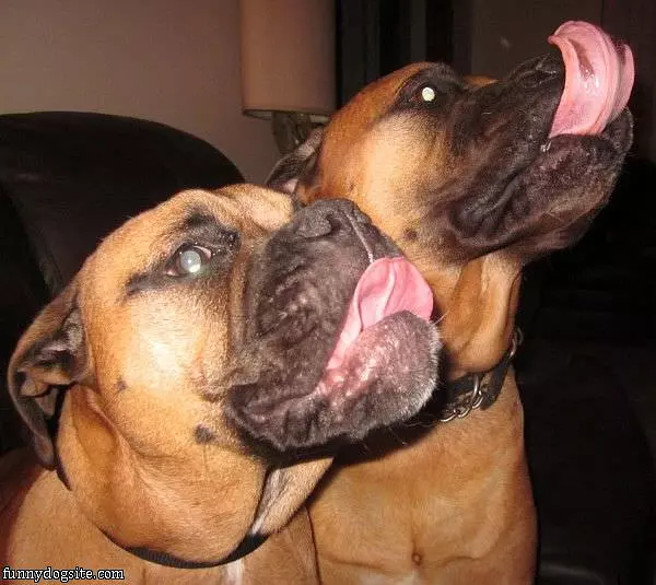 Ooooooooo Snacks
