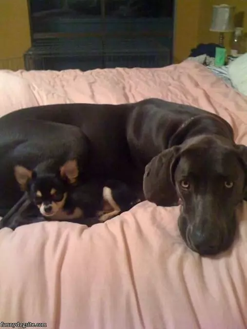 Big And Small