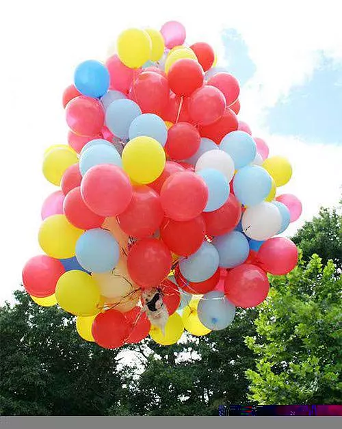 Ballon Dog