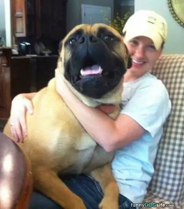 My Lap Dog