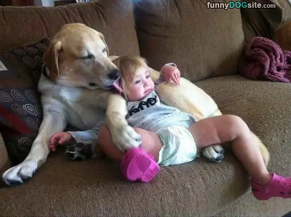 The Best Friends