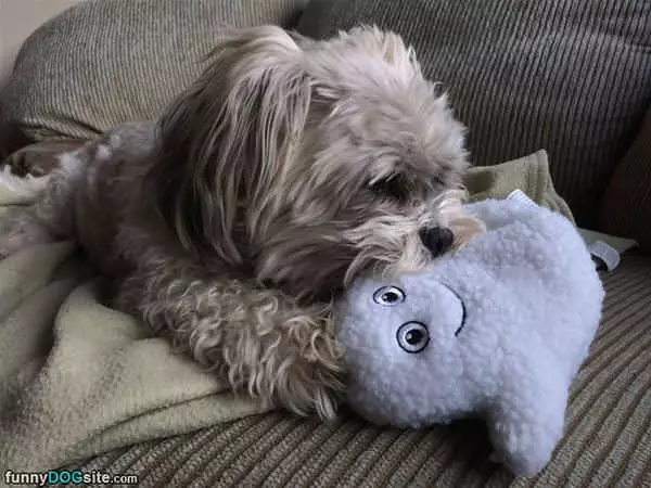 You Are So Cute