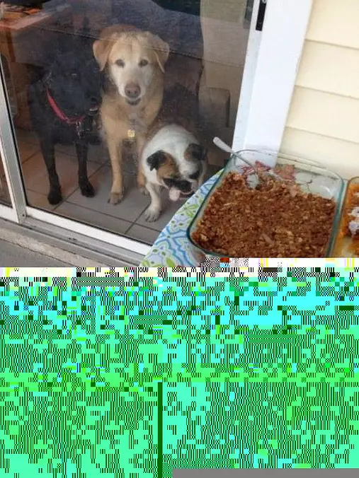 Can We Have A Bite