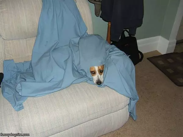 I Made A Fort
