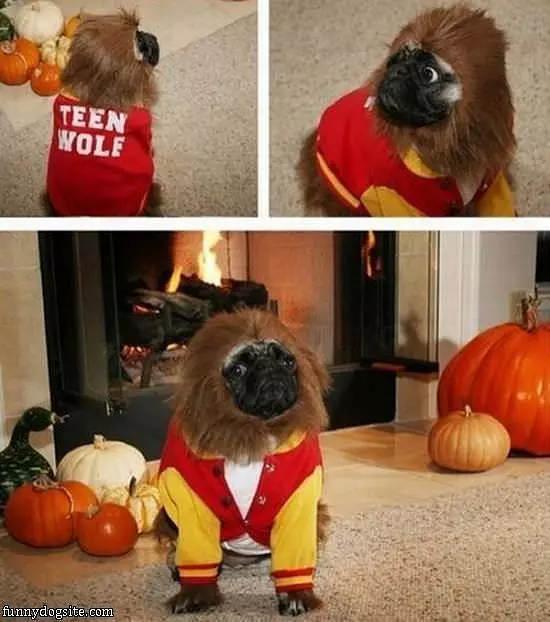 Teen Wolf