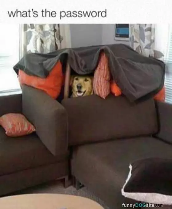 Whats The Password