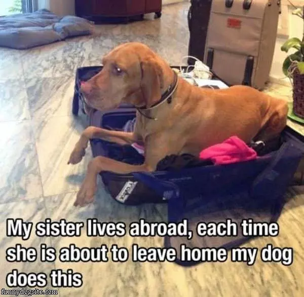 You Cant Leave