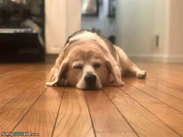 Chilling