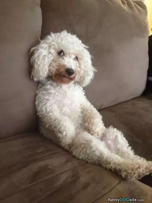 Just Sitting Here Relaxing