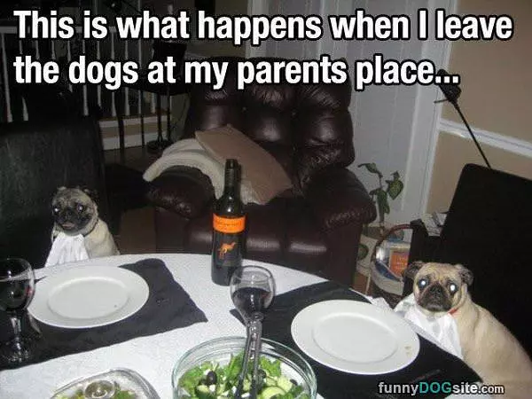 This Is What Happens