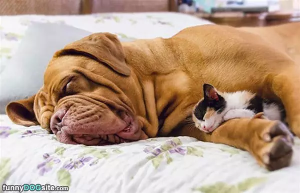 I Will Keep You Safe