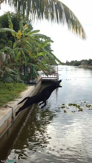 Jumping Far