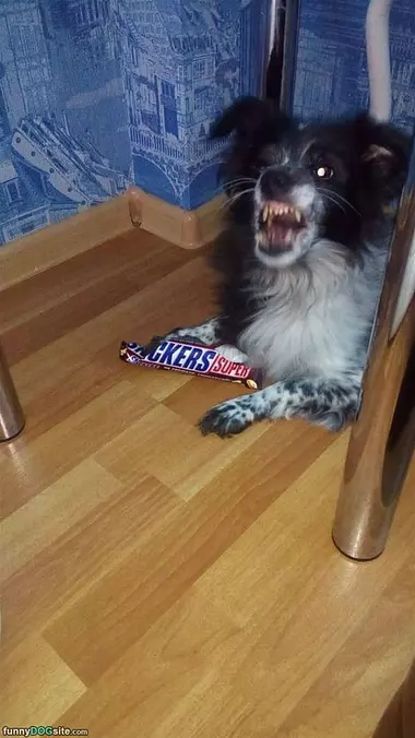 This Is My Chocolate