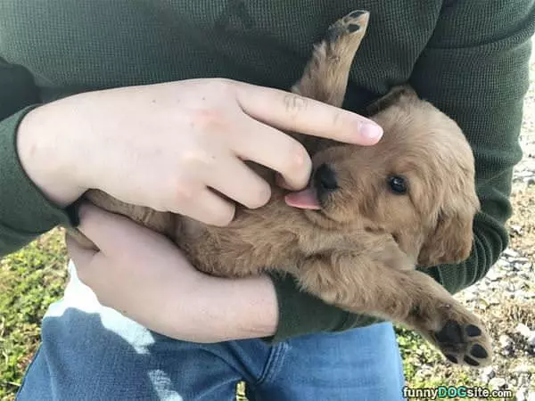 Hold Me A Little
