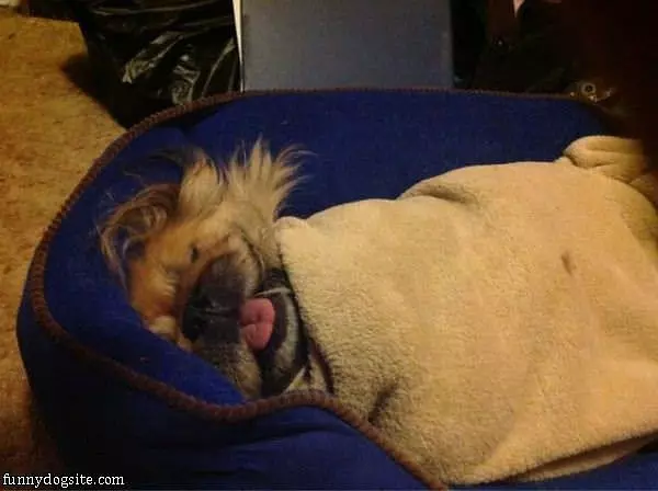 Getting Some Zs