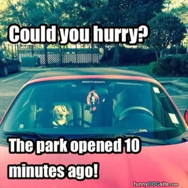 Could You Hurry