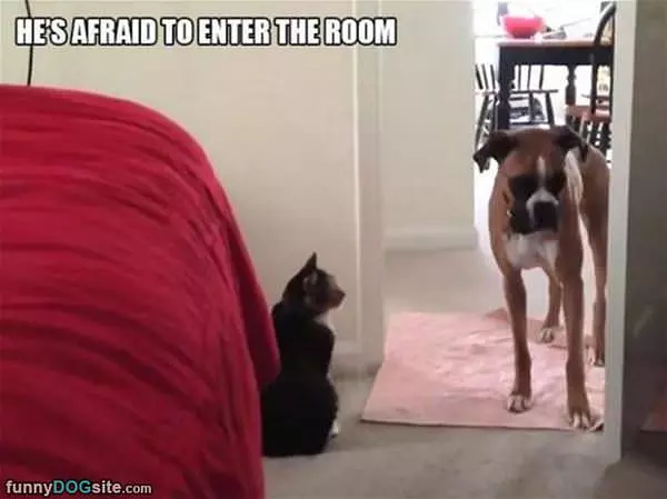 Afraid To Enter A Room