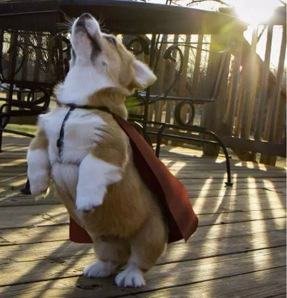 Time For A Blast Off