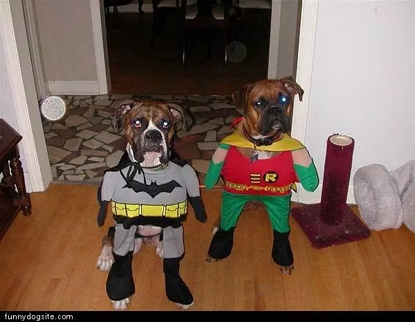 Super Heros