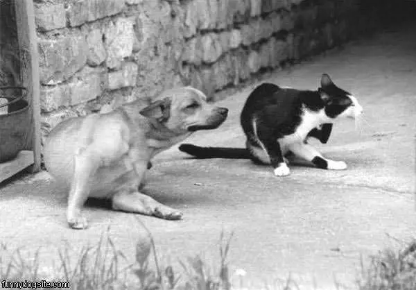 Gots The Itch