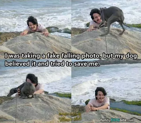 Fake Falling