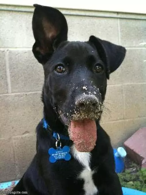 I Like Digging