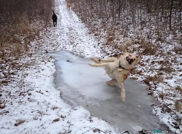 This Is Slippery