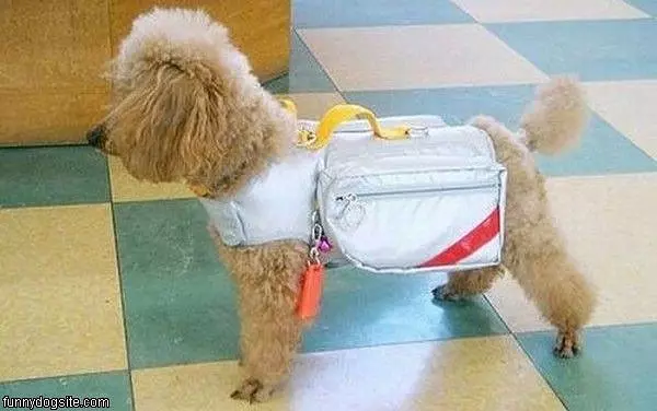 Carryer