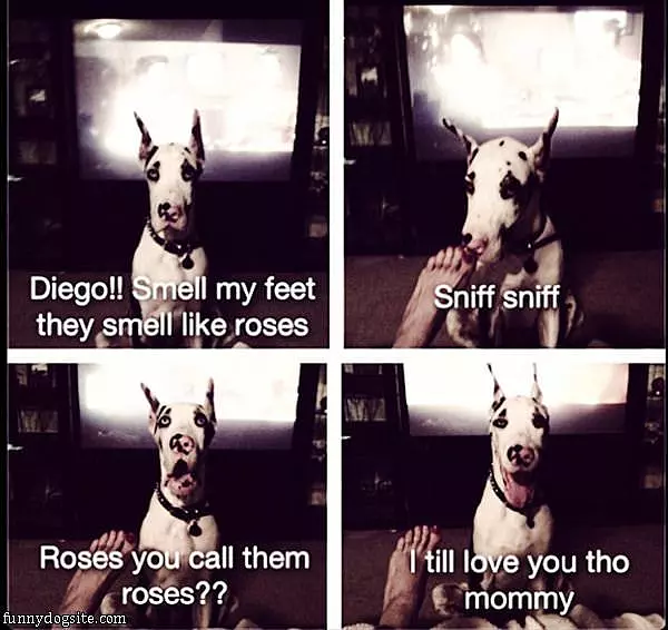 Diego Loves Feet