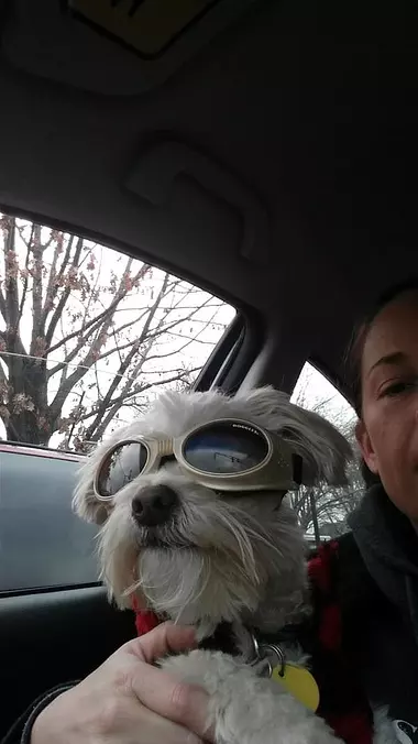Skippy Is Having A Good Day