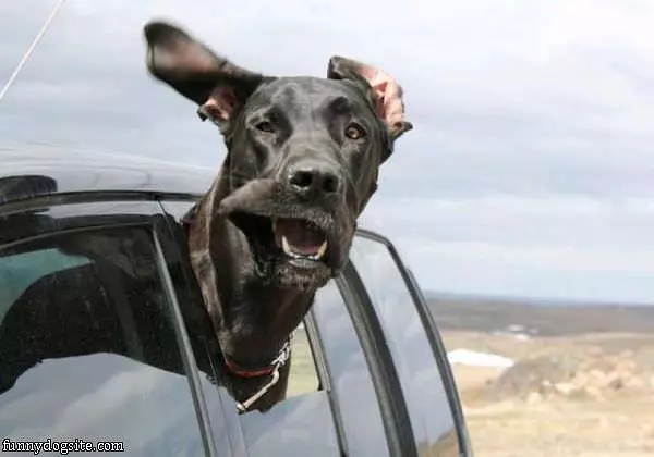 Windy Mouth