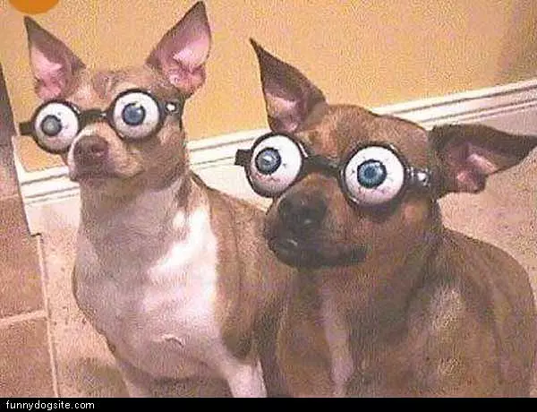 Crazy Eyes