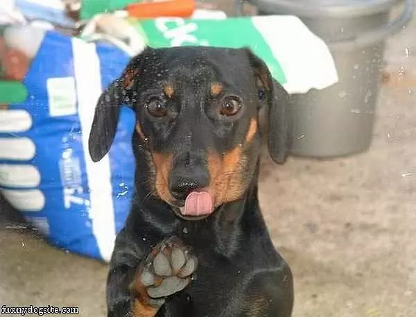 Can You Lets Me In