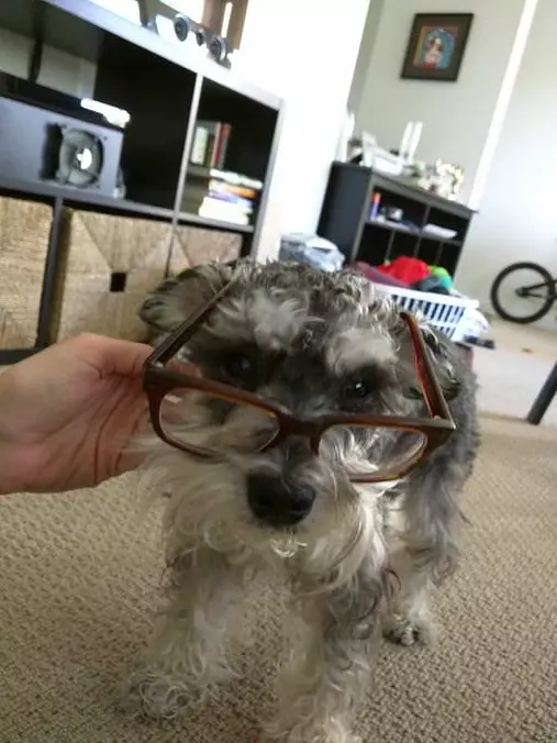 These Fun Glasses