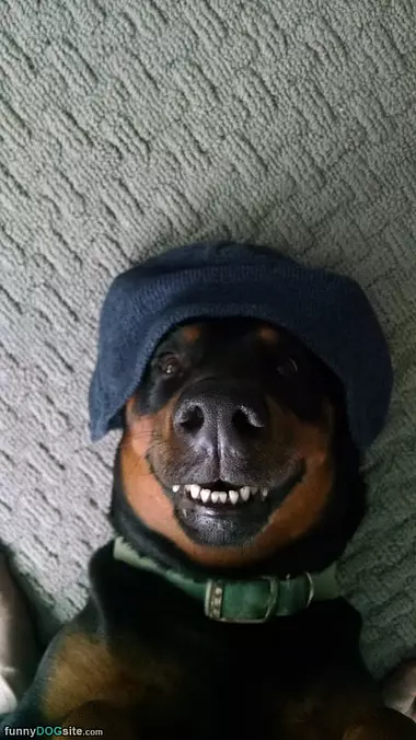 I Has A Cap