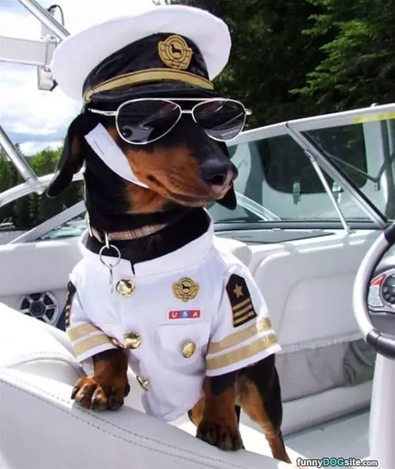 I Will Be Your Captain Today