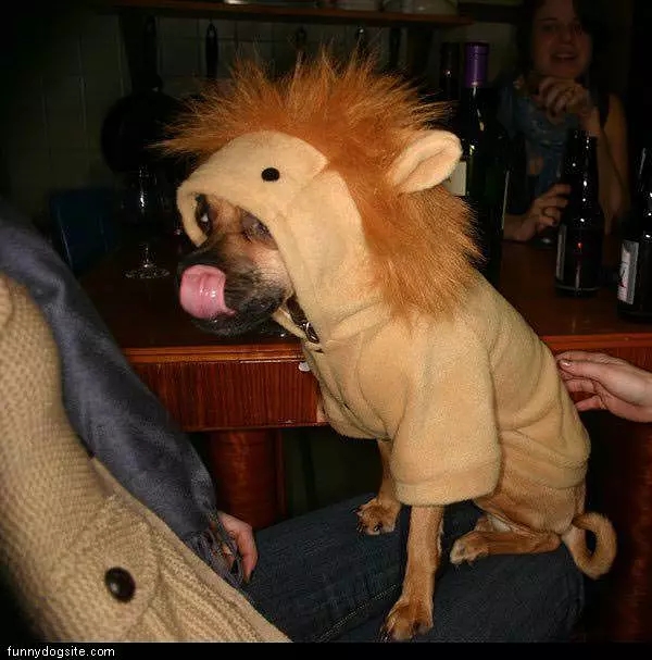 Poor Dog