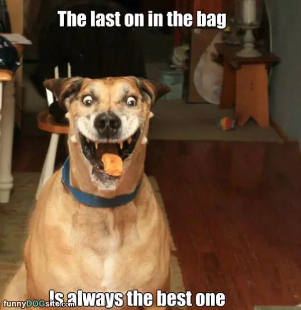 Lsat One In The Bag