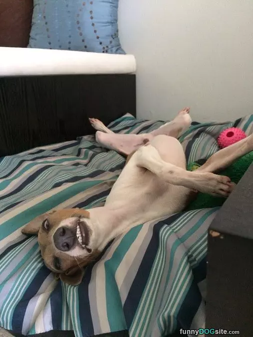 Sleeping Like A Boss
