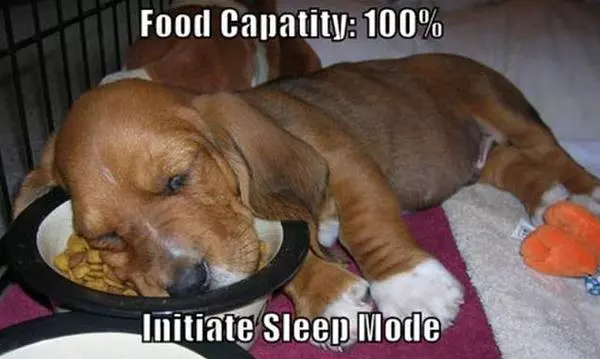 Capacity
