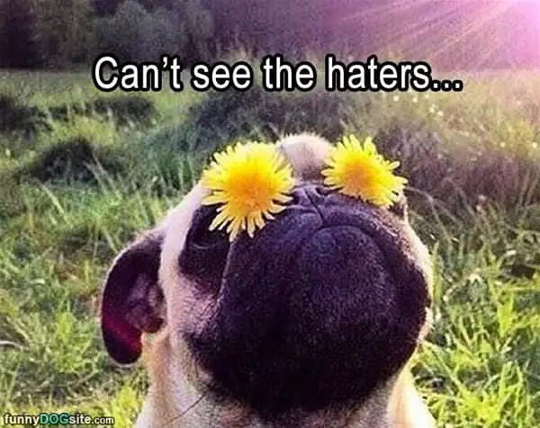 No Haterrs Here