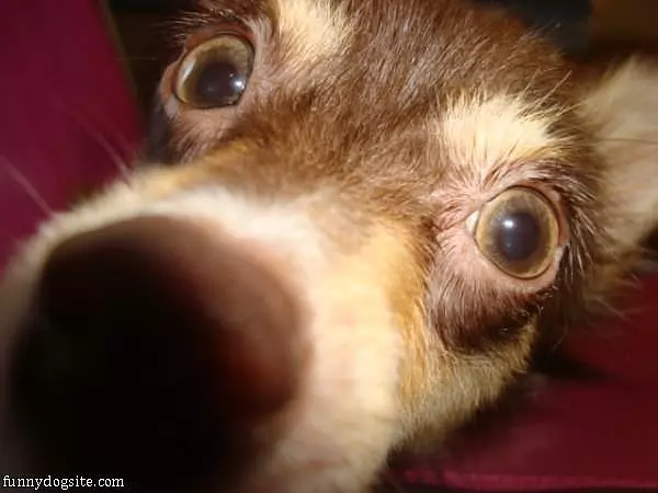 Extreme Closeup