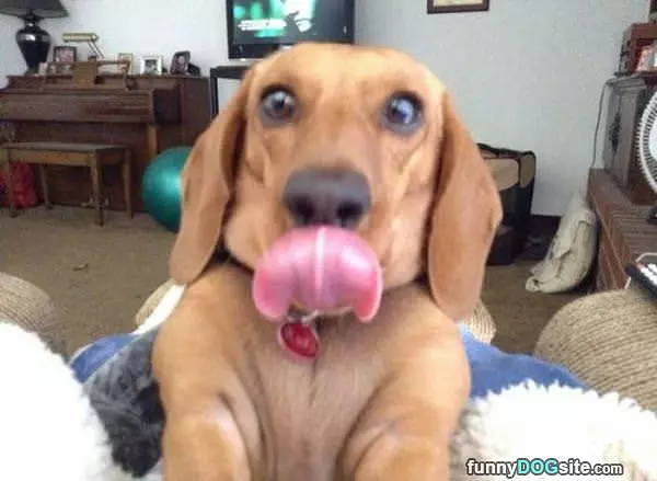 Lickyyy Lick