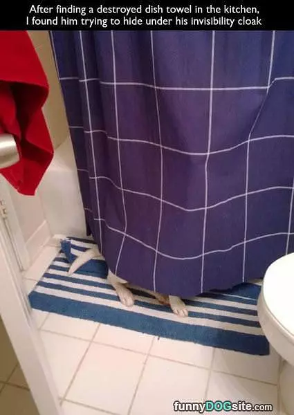Just Hiding Over Here