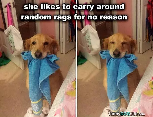 For No Reason