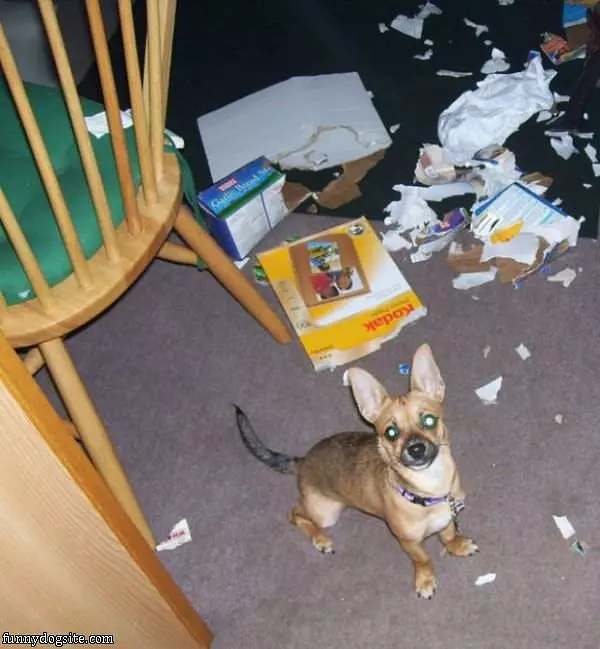 It Wasnt Me
