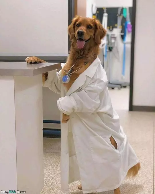 The Doc Is In